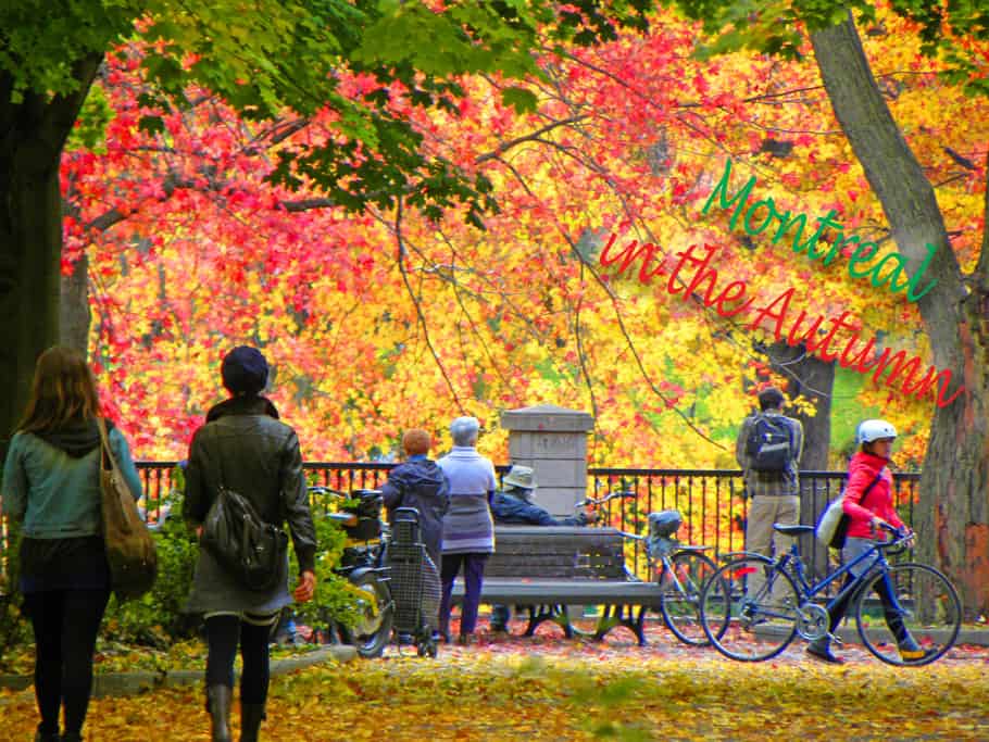 Favorite season autumn essay