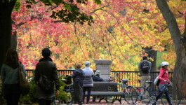 Park Lafontaine in Fall