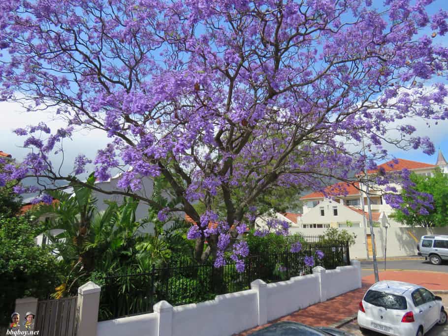 From Fantastic to NotsoGood Experiences and Impressions over 10 days