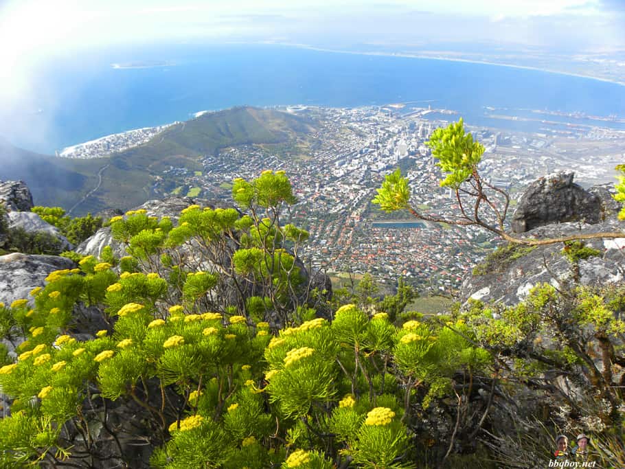 A Trip Up Table Mountain, Cape Town