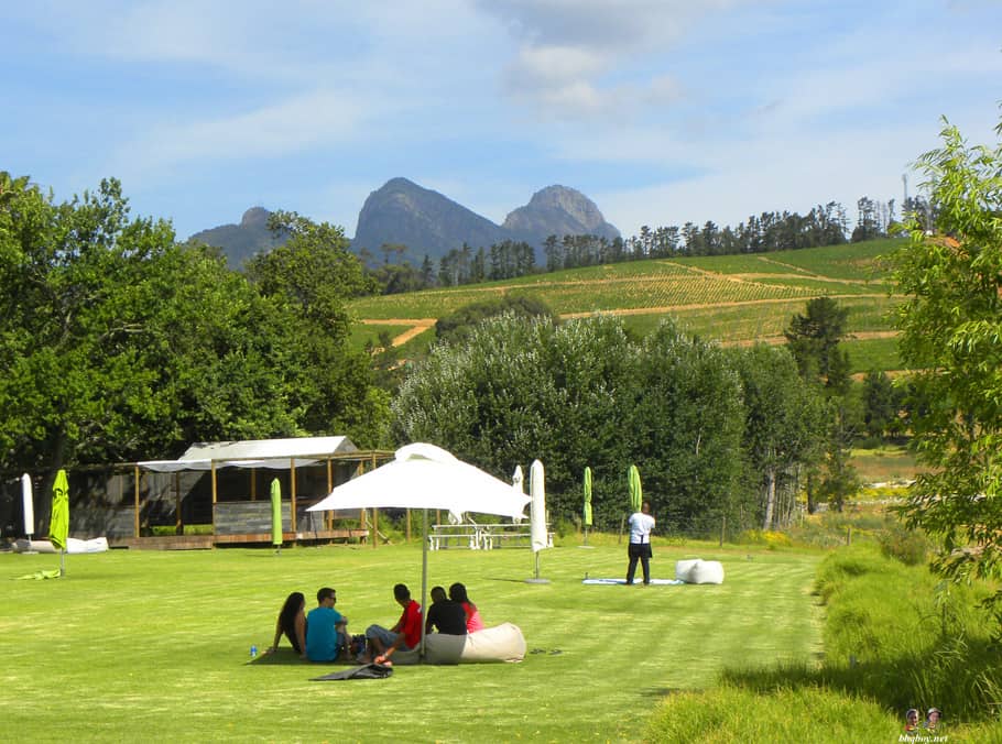 Visiting the Wine Regions of Stellenbosch and Franschhoek