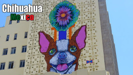Chihuahua, Mexico – a place not to avoid