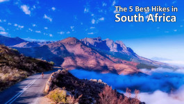 The 5 Best Hikes in South Africa