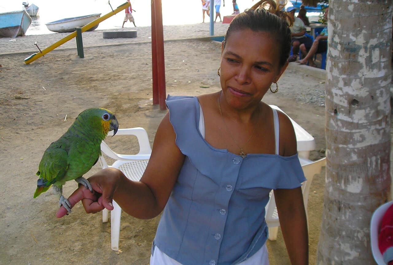 bird in Taganga Colombia. Safety. And why Taganga (Colombia) is worth a Visit