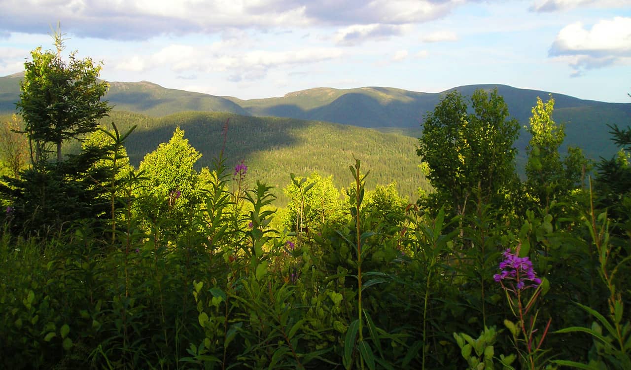 Parc National de la Gaspesie, Quebec, Canada. Highlights of a family road trip to the Gaspé