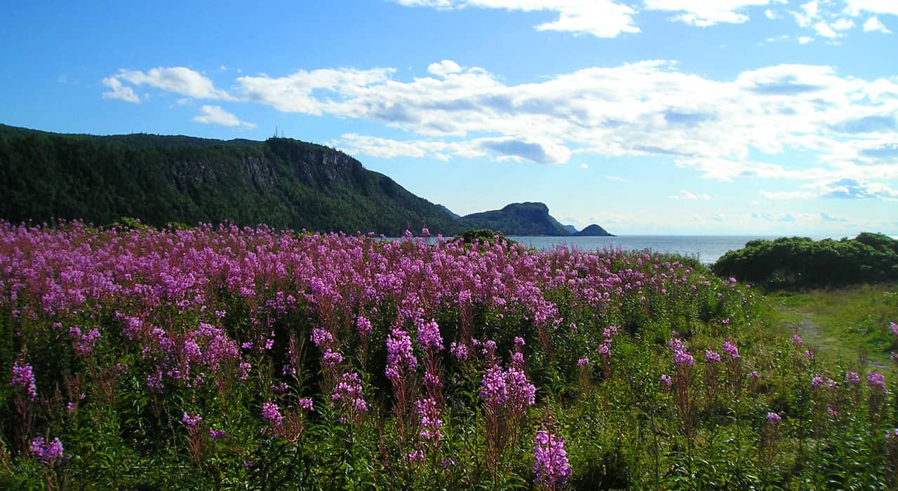 Parc Bic in Rimouski. Highlights of a family road trip to the Gaspé