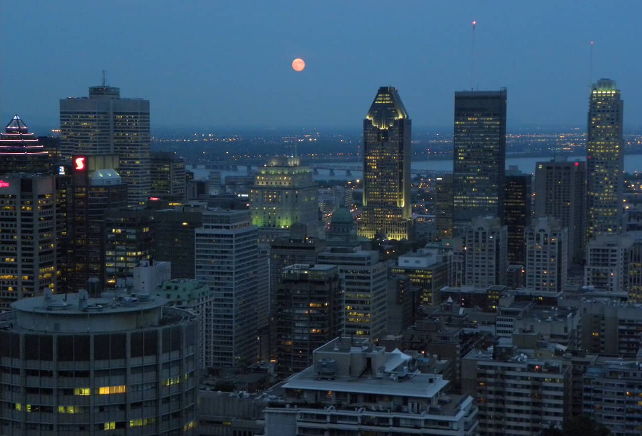 night view of Montreal from Mont-Royal. A Guide on What to See and Do in Montreal