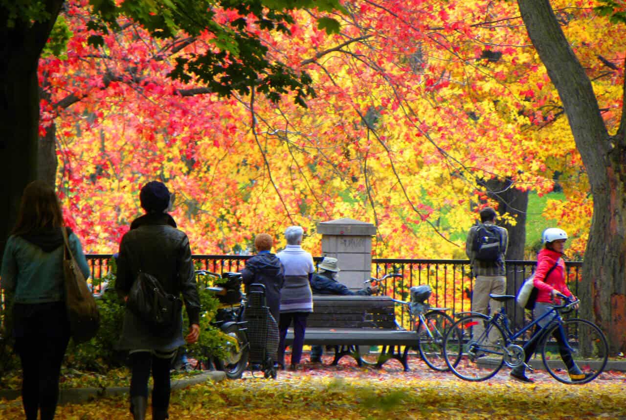 Autumn in Lafontaine Park, Montreal. A Guide on What to See and Do in Montreal