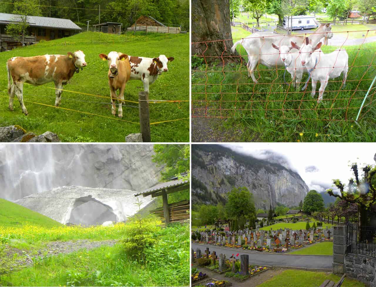 farms in Lauterbrunnen, Switzerland