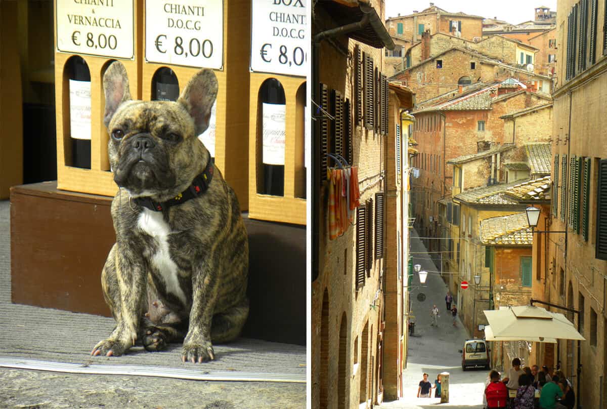 Why you should visit Siena, Italy