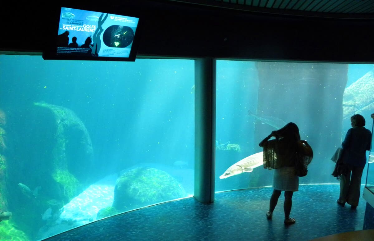 Aquarium in Montreal's Biodome