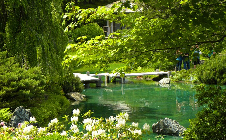 Japanese Gardens at Montreal's Botanical Gardens