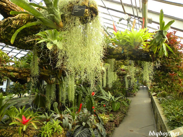 Visiting Montreal's Botanical Gardens and Insectarium