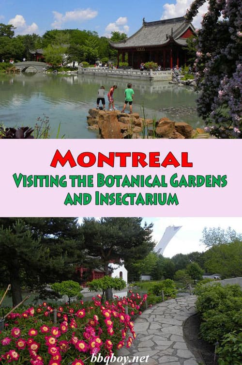Visiting Montreal’s Botanical Gardens and Insectarium Visiting Montreal’s Botanical Gardens and Insectarium