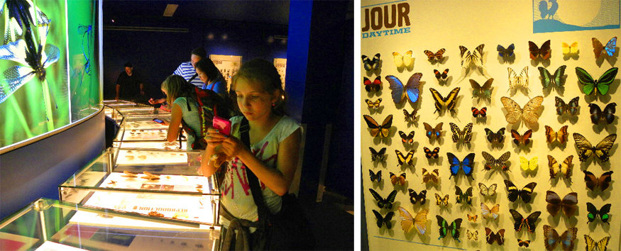 Visiting Montreal’s Botanical Gardens and Insectarium