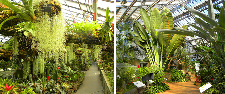 Visiting Montreal’s Botanical Gardens and Insectarium