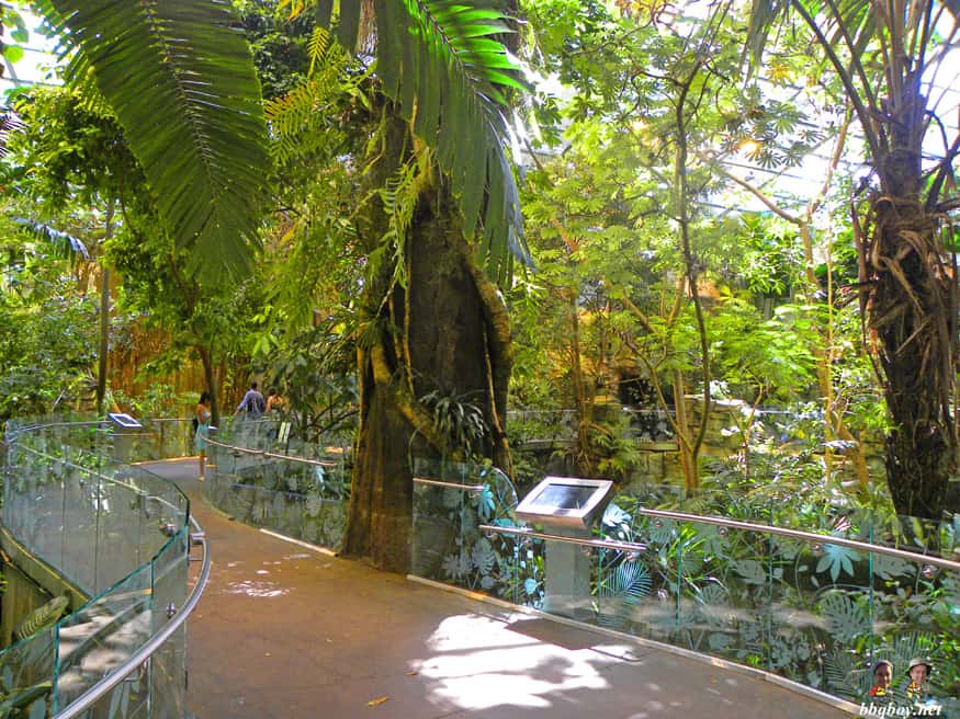 Montreal's Olympic Stadium: Visiting the Biodome and Tower Observatory