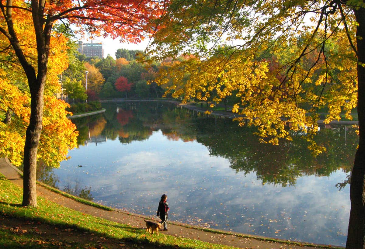 Montreal in the autumn. Park Lafontaine