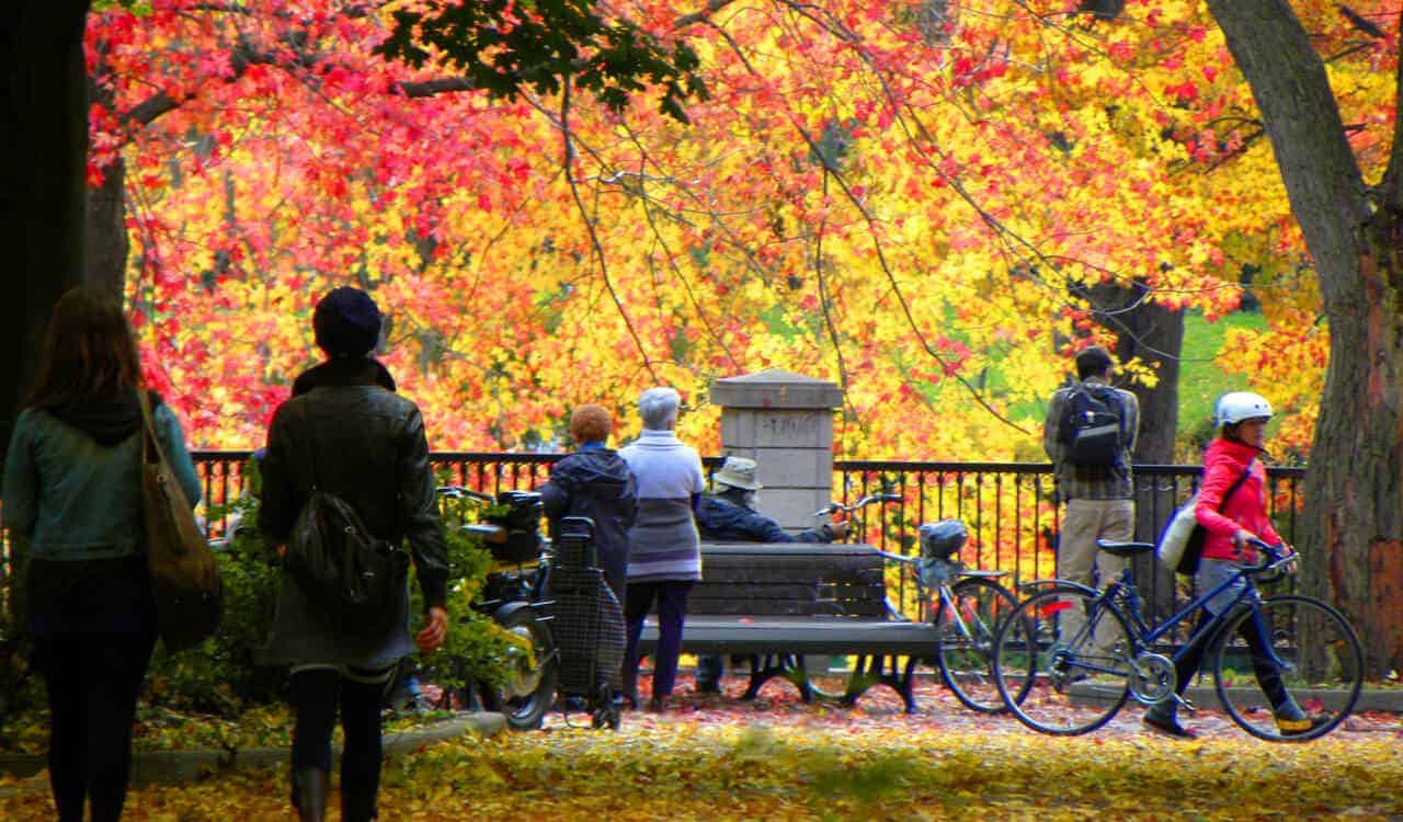 Montreal in the Autumn