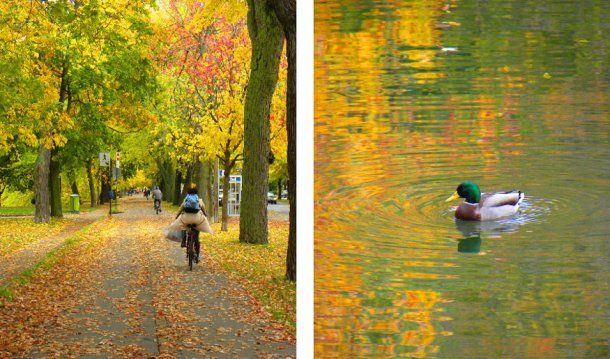 Montreal essays 06 image