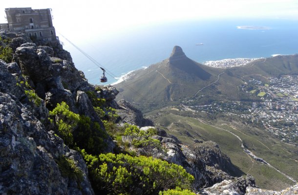 15 Things to Do in and around Cape Town, South Africa