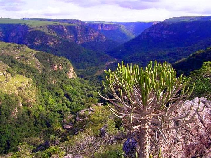 oribi-gorge-NR, Kwazulu-Natal Province (KZN), South Africa