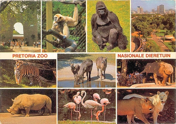pretoria-zoo, south africa
