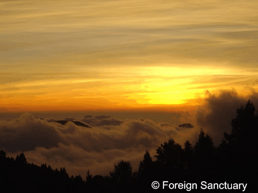 Sunset at Alishan, Taiwan