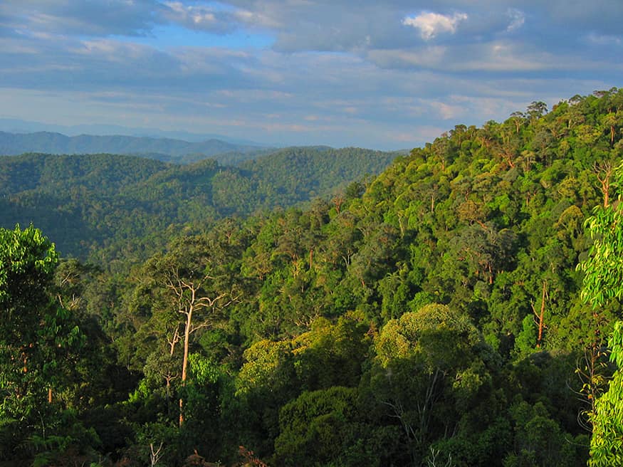 Taman-Negara, malaysia