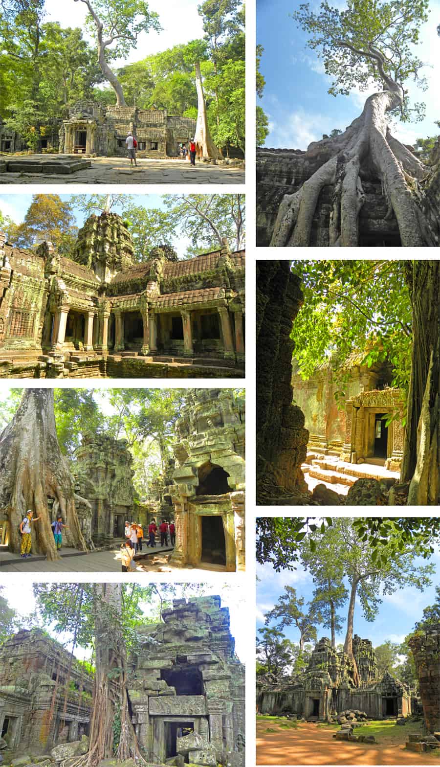 Ta Prohm, the tree temple, Angkor, Cambodia. 10 Temples you have to see in Angkor Archaeological Park