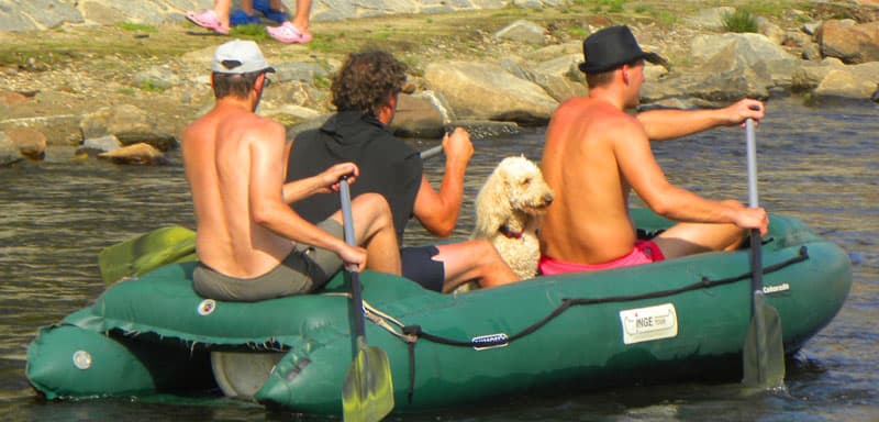 dogs and canoes in Czech Republic