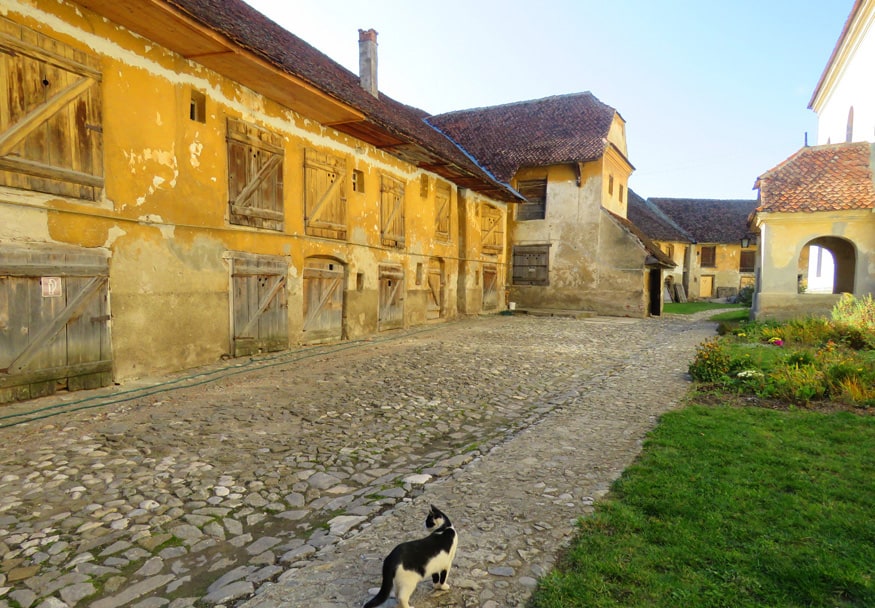 Sînpetru Fortified Church. What to See around Brasov, Romania