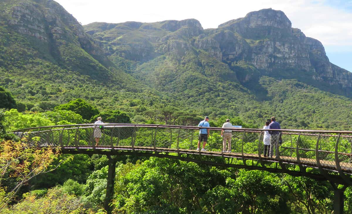 A Visit To Kirstenbosch Botanical Gardens Cape Town