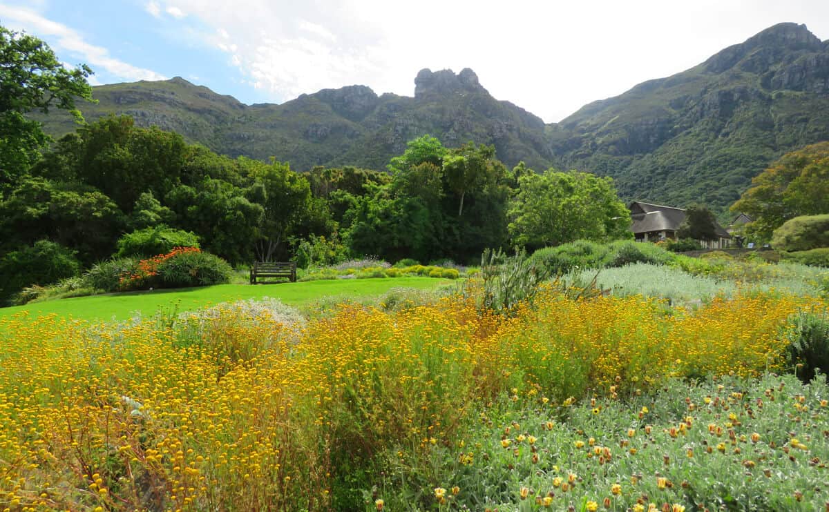 A visit to Kirstenbosch Botanical Gardens, Cape Town