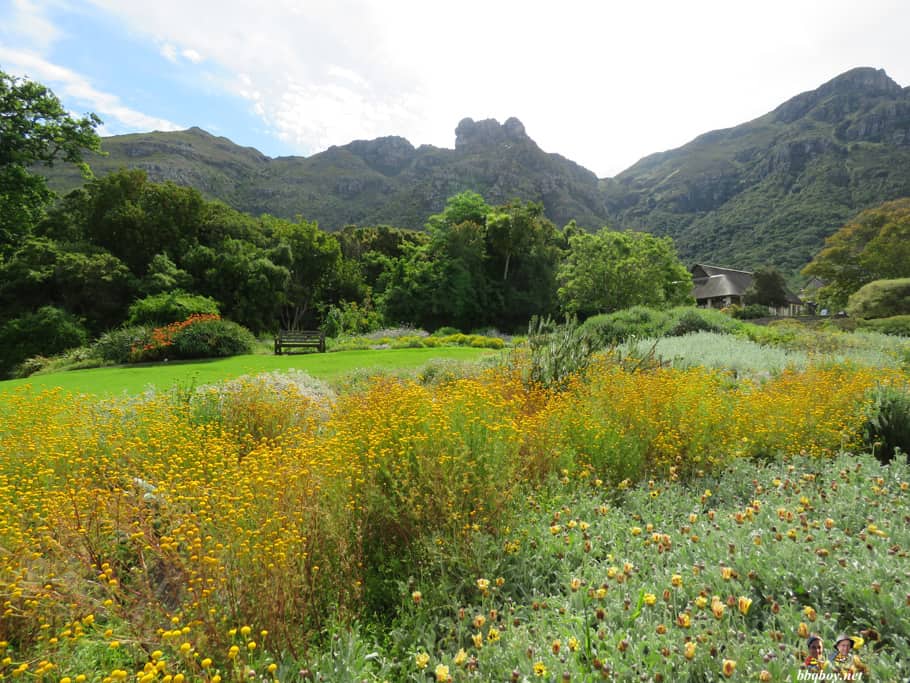 A visit to Kirstenbosch Botanical Gardens, Cape Town