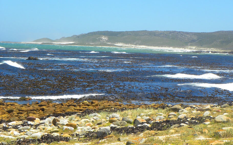 Photo Highlights of the Cape Peninsula