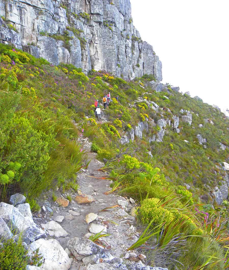 hiking Table Mountain