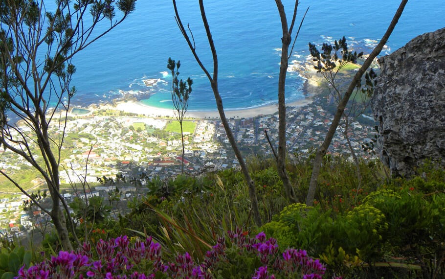 Views of Camps Bay from table mountain