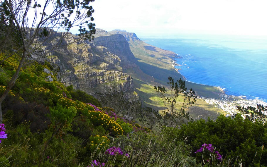 Views of the Twelve apostles, Cape Town