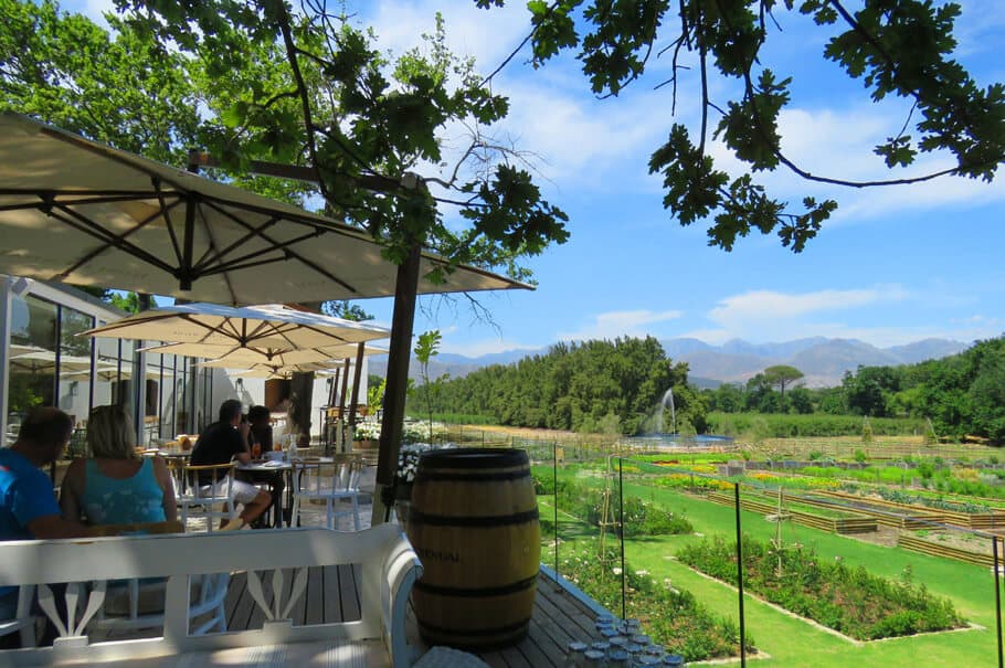 A guide to the best wineries of Stellenbosch and Franschhoek