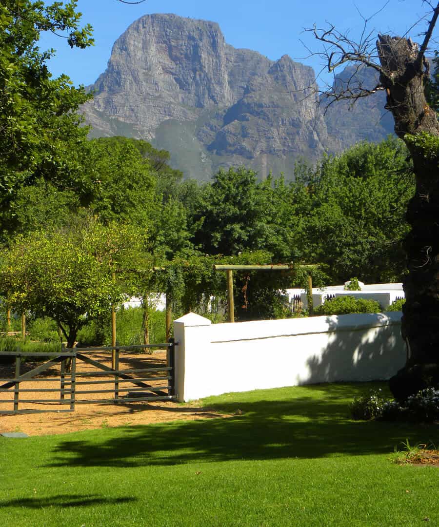 Boschendal Wine Estate. A guide to the best wineries of Stellenbosch and Franschhoek