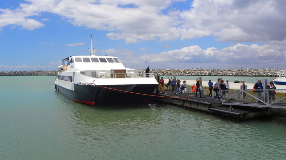 catamaran to Robben island