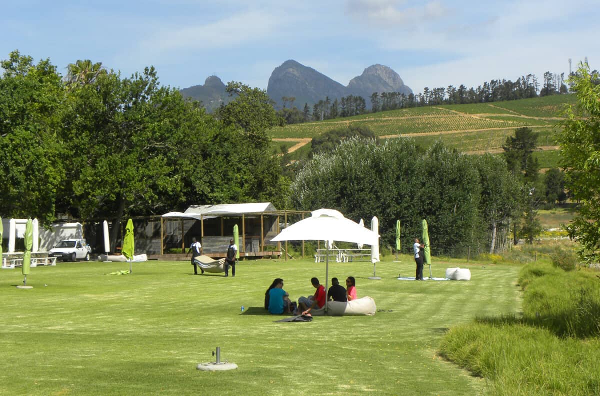 Warwick Wine Estate. A guide to the best wineries of Stellenbosch and Franschhoek