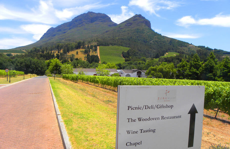 Zorgvliet Wine Estate. A guide to the best wineries of Stellenbosch and Franschhoek