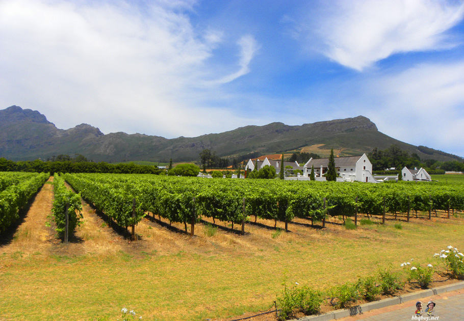 Visiting the Wine Regions of Stellenbosch and Franschhoek