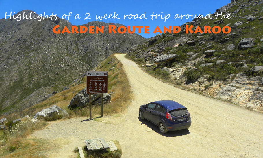 Highlights of a 2 week road trip around the Garden Route and Karoo