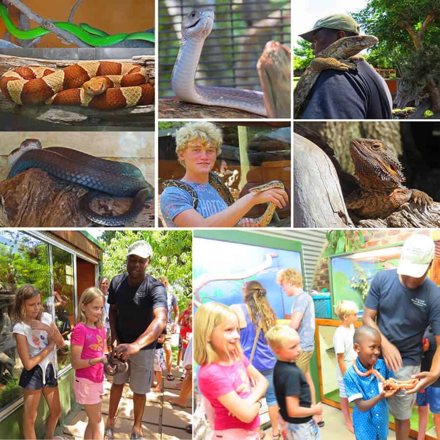lawnwood snake sanctuary, the crags. Highlights of a 2 week road trip around the Garden Route and Karoo, South Africa