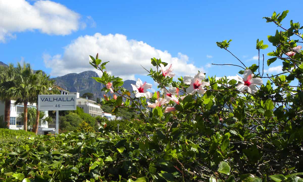 Clifton. the beaches of Cape Town