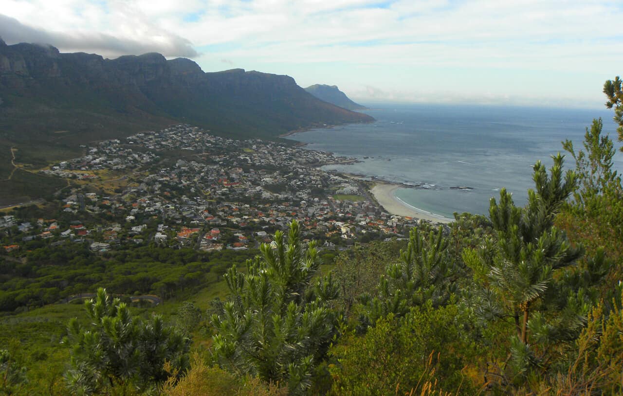 The Essential “Must do” hike in Cape Town: Lion’s Head