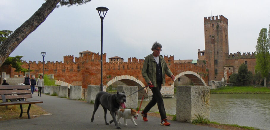 Ponte Scaligero. Highlights of Verona